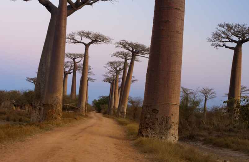 Les français quittent Madagascar : pourquoi ?