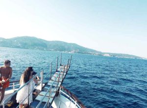 Top 5 des raisons de visiter la reserve de Scandola en bateau