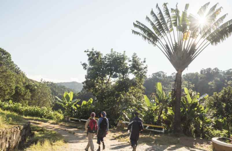 Quelles sont les meilleures destinations pour un voyage en famille ?