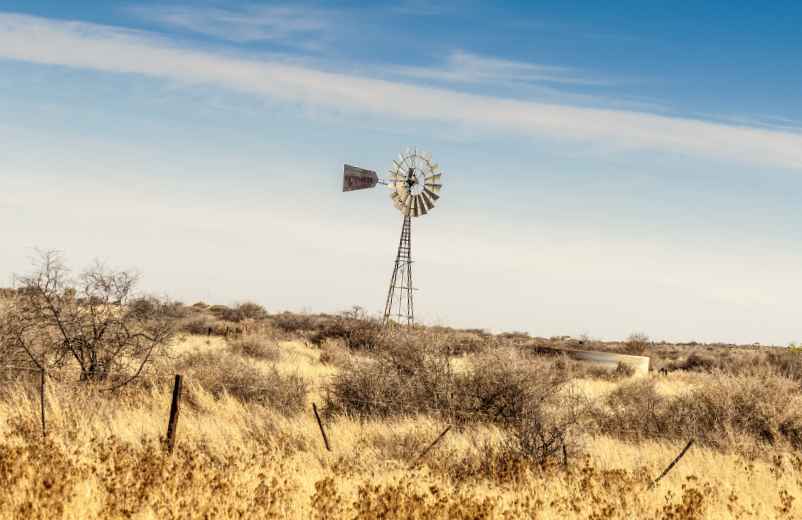 La Namibie : quand partir pour un safari ?