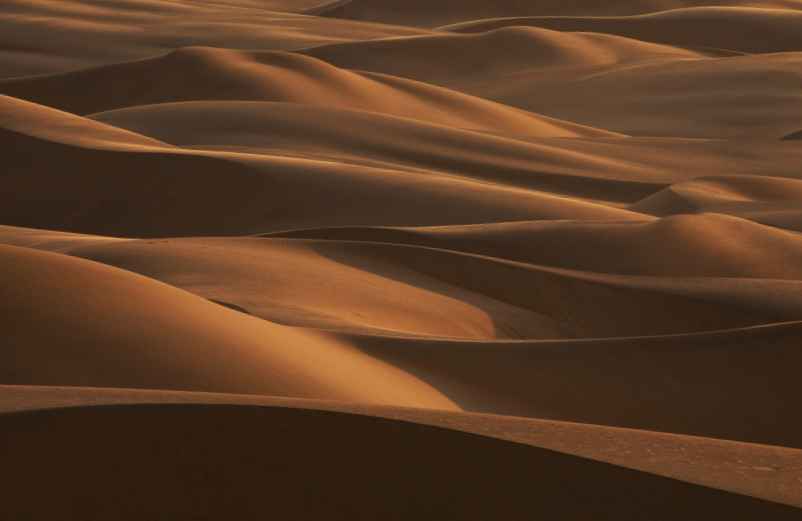 Quand partir pour explorer le désert du Namib ?