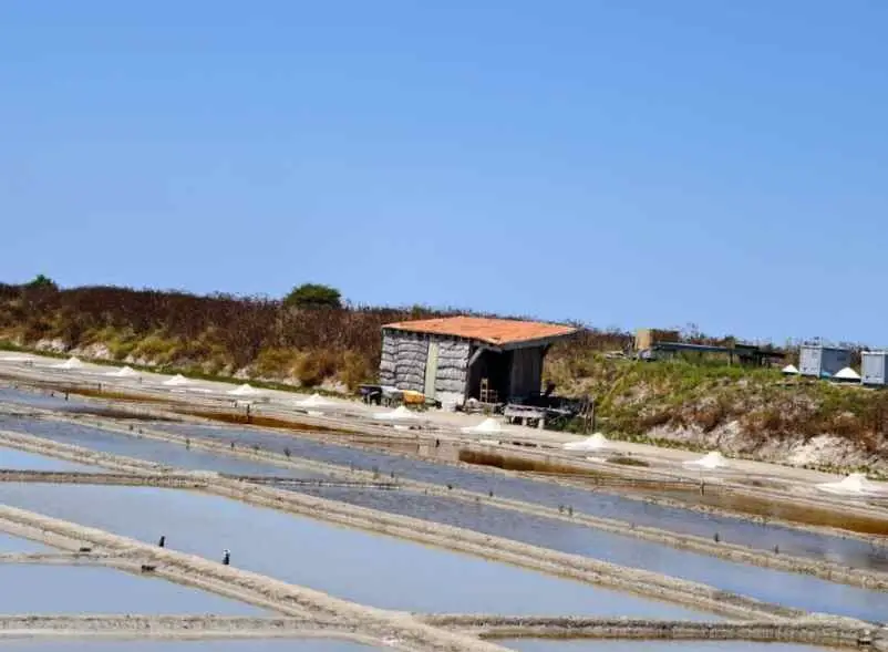 Les marais salants, cœur vivant du patrimoine CAF de Nice
