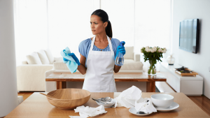 Vacation Rental Cleaning 101: A Guide to Handling Guest Turnover