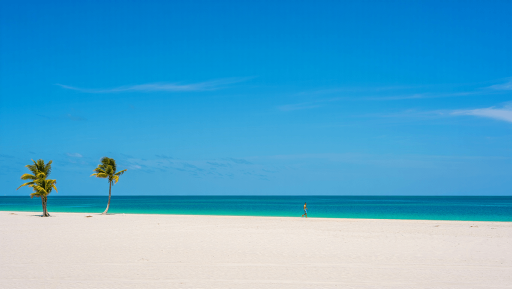The best beaches in St Petersburg and Clearwater, Florida