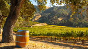 Hecker Pass Winery outdoor seating