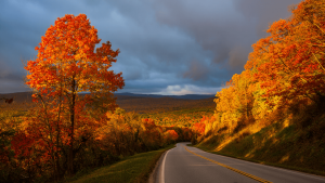 Fall Guide to Blue Ridge Parkway & Shenandoah National Park
