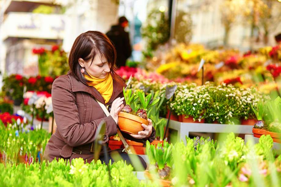 Quels sont les critères pour choisir son fleuriste et se faire livrer ?