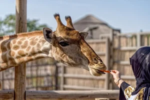 Visiteurs se promenant dans les jardins du zoo avec des habitats spacieux et une végétation luxuriante