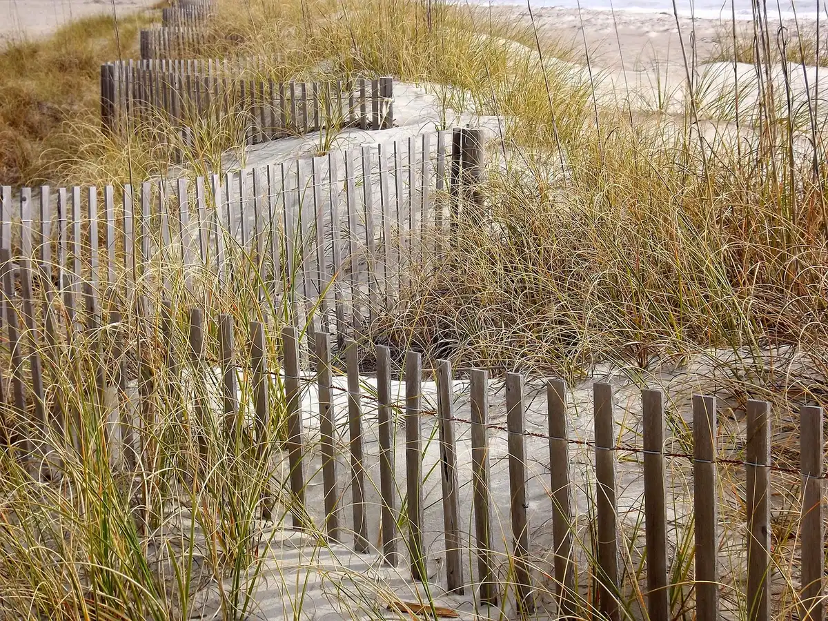 Paysage côtier avec dunes de sable et végétation littorale
