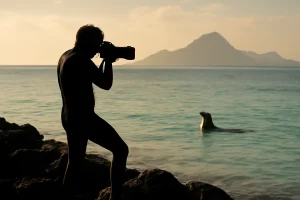 Guide photo des îles Galápagos : meilleurs spots et conseils