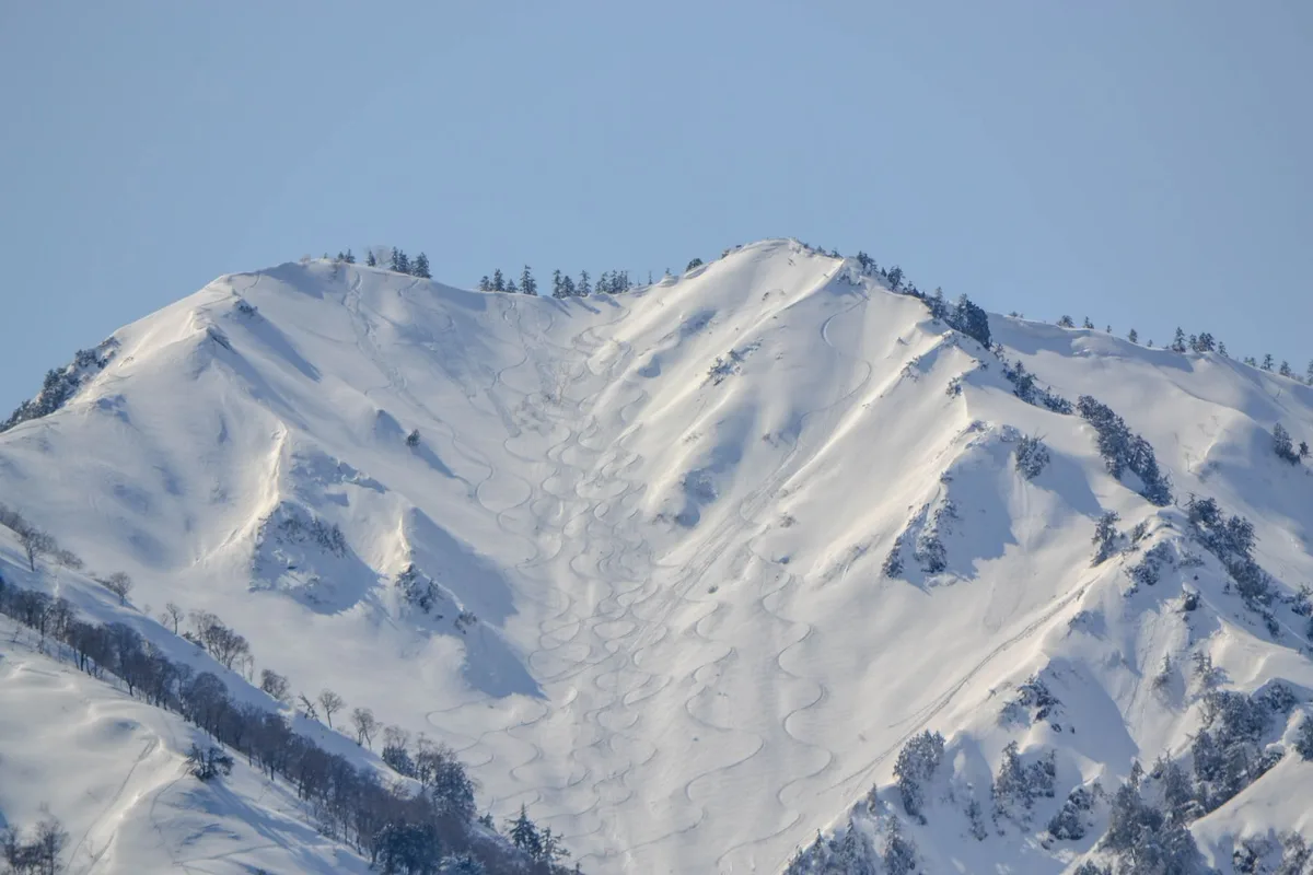 Pistes de ski enneigées à Niseko avec poudreuse fraîche et silhouettes de skieurs