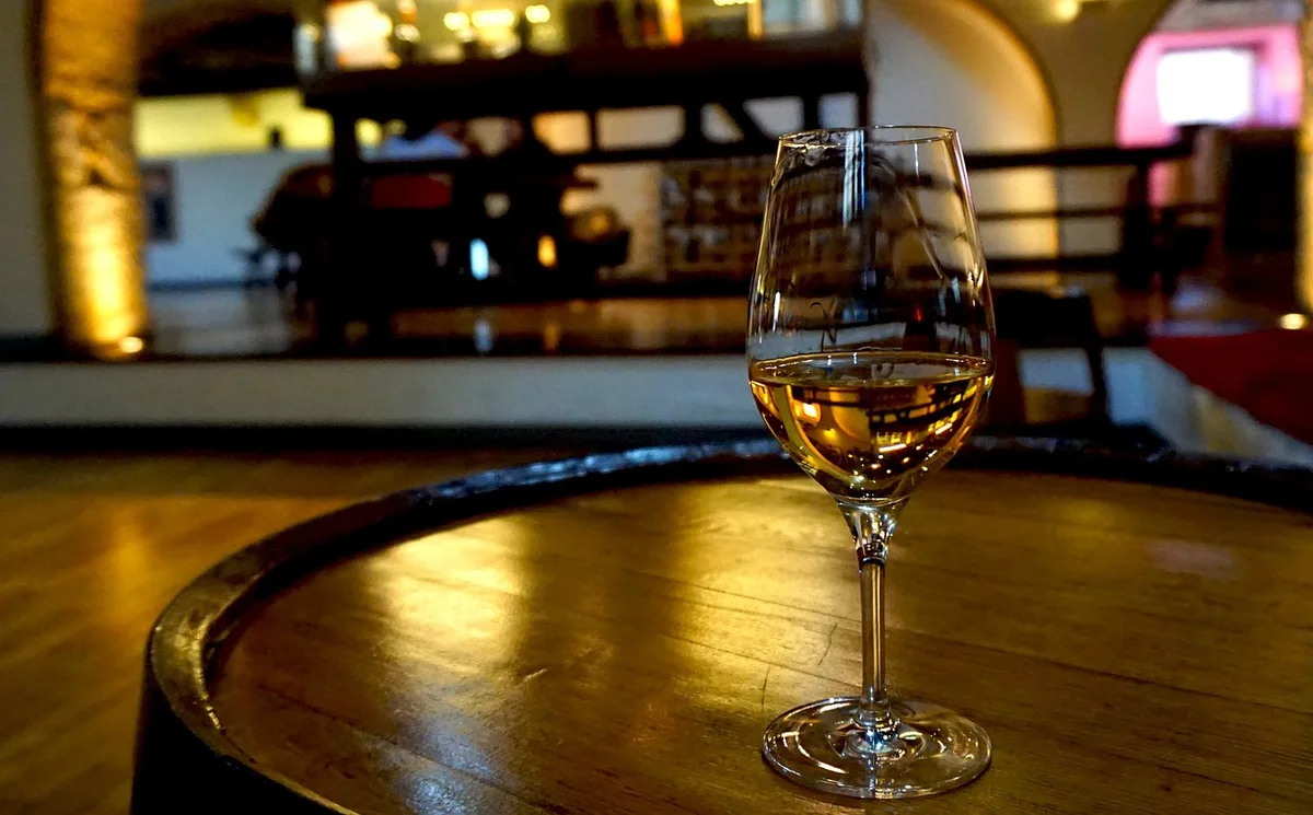 Dégustation de vin dans un vignoble en bord de mer