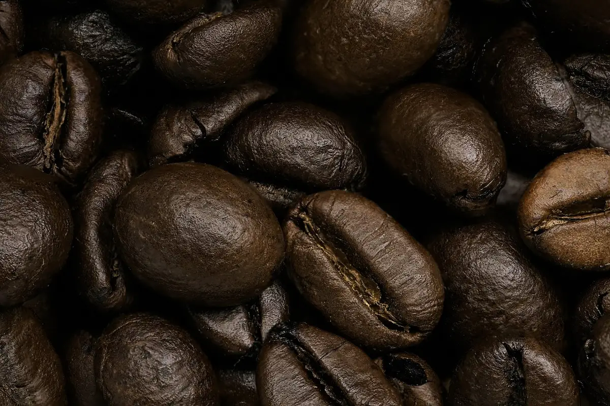 Plantation de café en journée avec grains séchant sur des lits et collines en arrière-plan