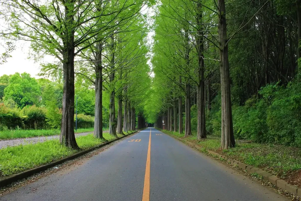 Route côtière ensoleillée avec vue sur la mer et palmiers depuis une voiture en mouvement