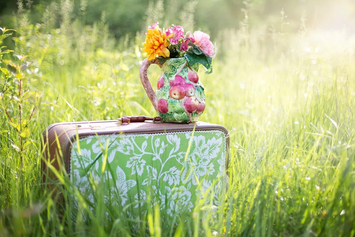 Valise cabine ouverte sur une table, packing cubes et vêtements roulés en plein jour