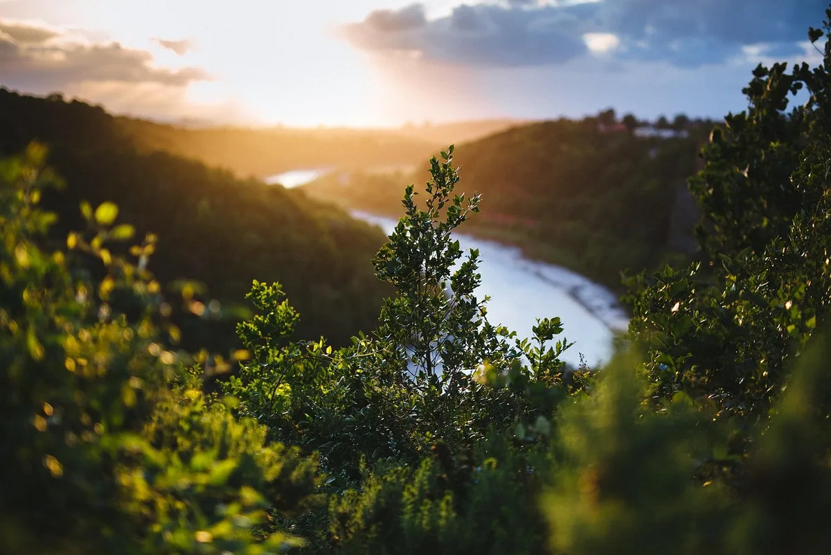 Vallée au lever du soleil avec lumière dorée idéale pour la photographie